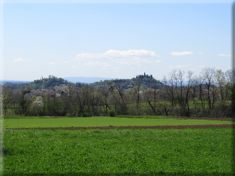 foto Paesaggi Collinari in Primavera